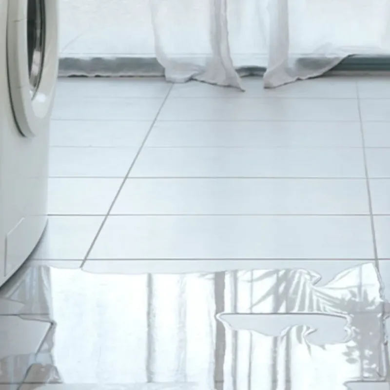 Appliance Leak Cleanup in Newaygo, MI