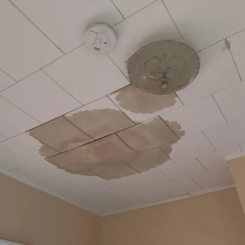 Ceiling Water Damage Repair in Newaygo, MI
