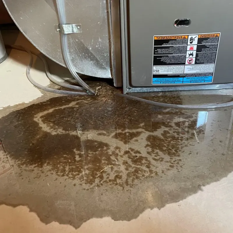 Pipe Burst and Leak Restoration in Newaygo, MI