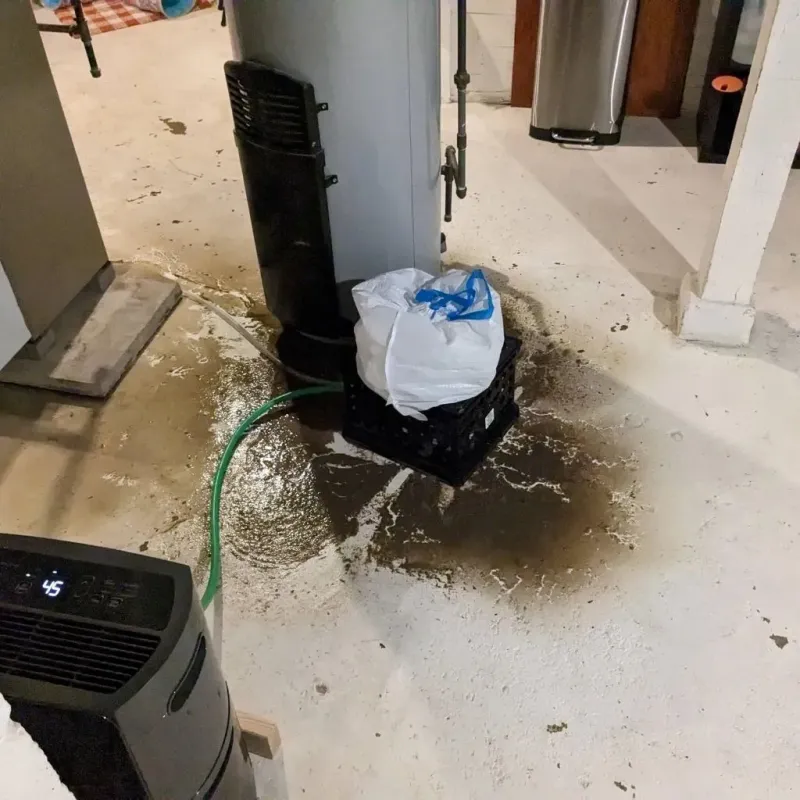 Sewage Backup Cleanup Service in Newaygo, MI